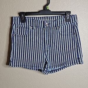 American Eagle Outfitters Navy and White Striped Jean Shorts